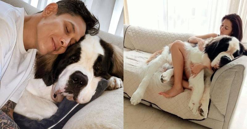 Instagram.com/gomugomu_teamo